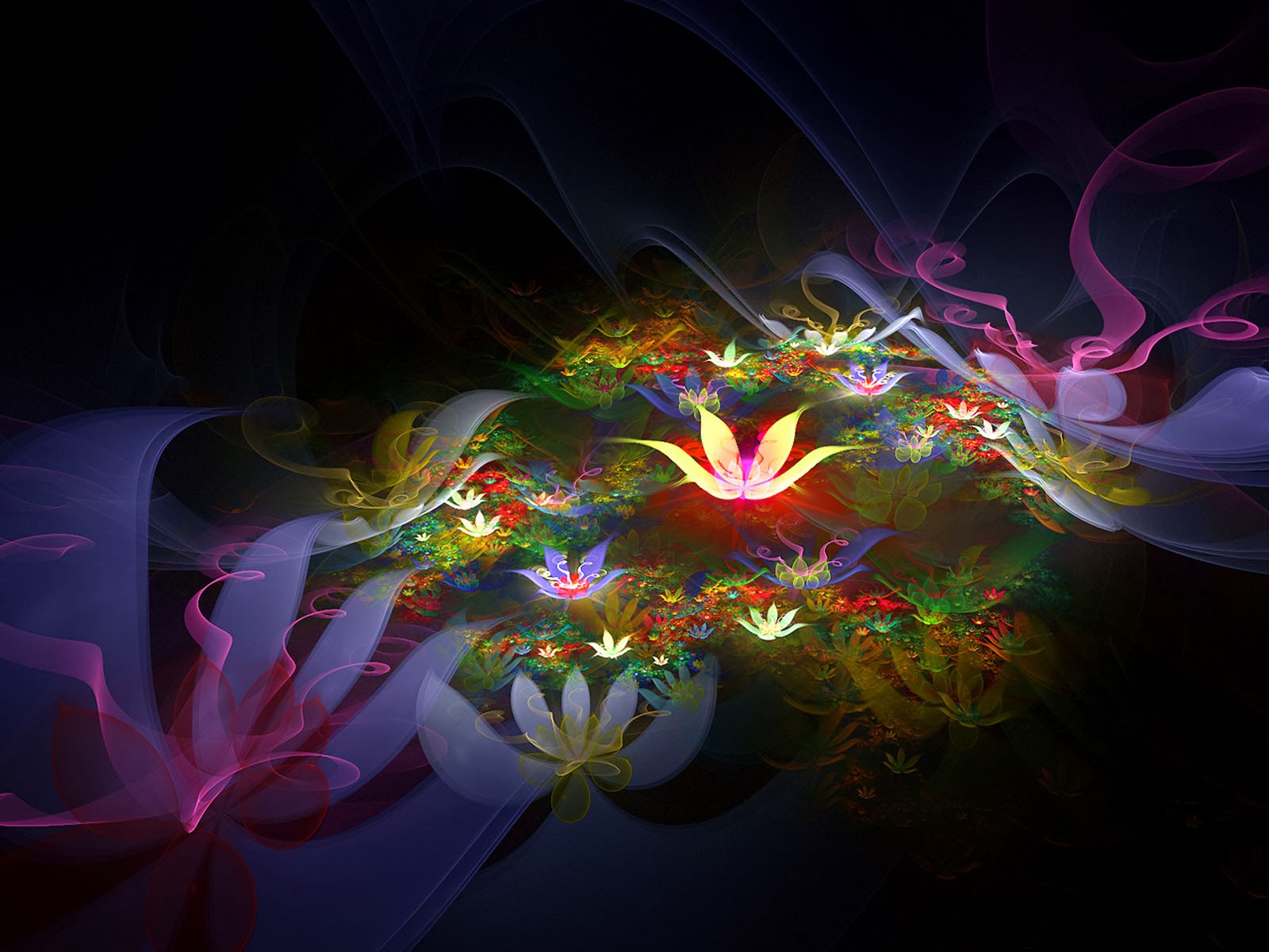Flowers Wallpapers